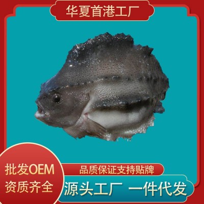 海参斑鱼原料批发冰岛进口冷冻超大石鱼去内脏深海鱼海鲜水产工厂