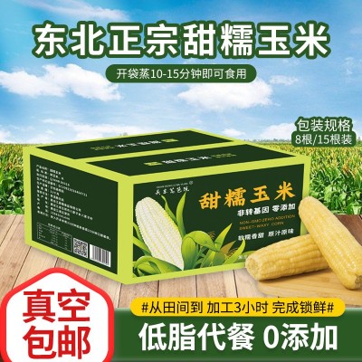 批发东北2023年新甜糯玉米棒8/15只装独立真空包装白粘玉米包邮