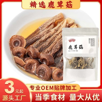鹿茸菇云南菌菇厂家产地源头批发食用宁德菌菇蘑菇干货特产代发