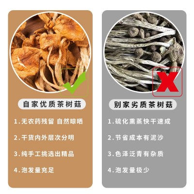 茶树菇不开伞干货菌菇散装菌汤包批发 茶薪菇新货菌菇煲汤食材图2
