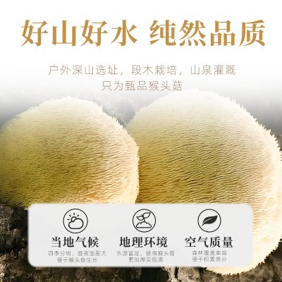 猴头菇干货福建古田正品干猴头菇 食用菌菇磨粉原料产地批发图2