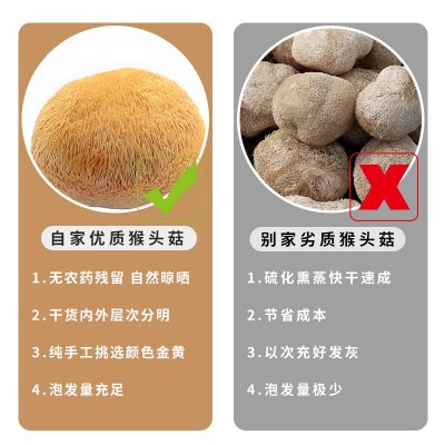 猴头菇干货福建古田正品干猴头菇 食用菌菇磨粉原料产地批发图4