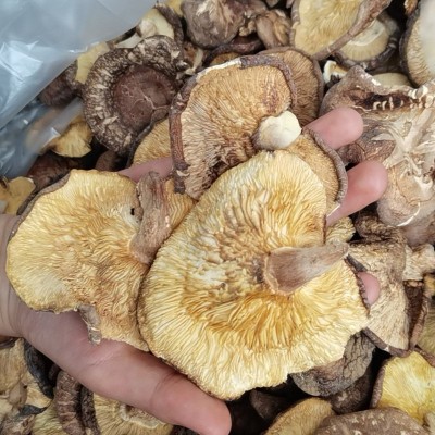 南北香菇干货活500g产地直批干香菇散装500g香菇大片薄片剪脚图2
