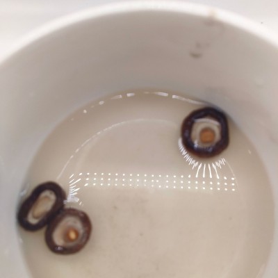 湖北宜昌远安特产香菇干货肉厚剪脚金钱菇500g基地直发图5