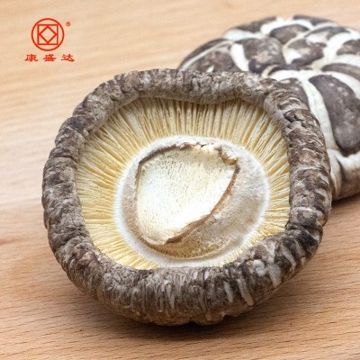 康旺 古田花菇椴木花菇白香菇蘑菇干货散装500g 源头厂家直销批发图3