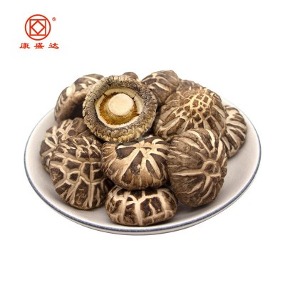 康旺 古田花菇椴木花菇白香菇蘑菇干货散装500g 源头厂家直销批发图2