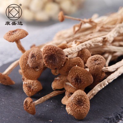 康旺 茶树菇新货古田特产茶树菇冰菇不开伞500g源头厂家批发图3