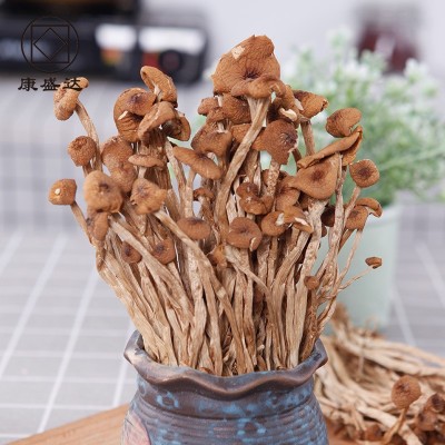 康旺 茶树菇新货古田特产茶树菇冰菇不开伞500g源头厂家批发图2