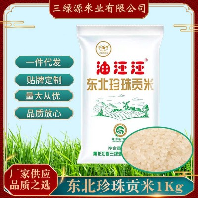 2023年大米油汪汪东北珍珠贡米一公斤充氮保鲜米 黑龙江大米1kg