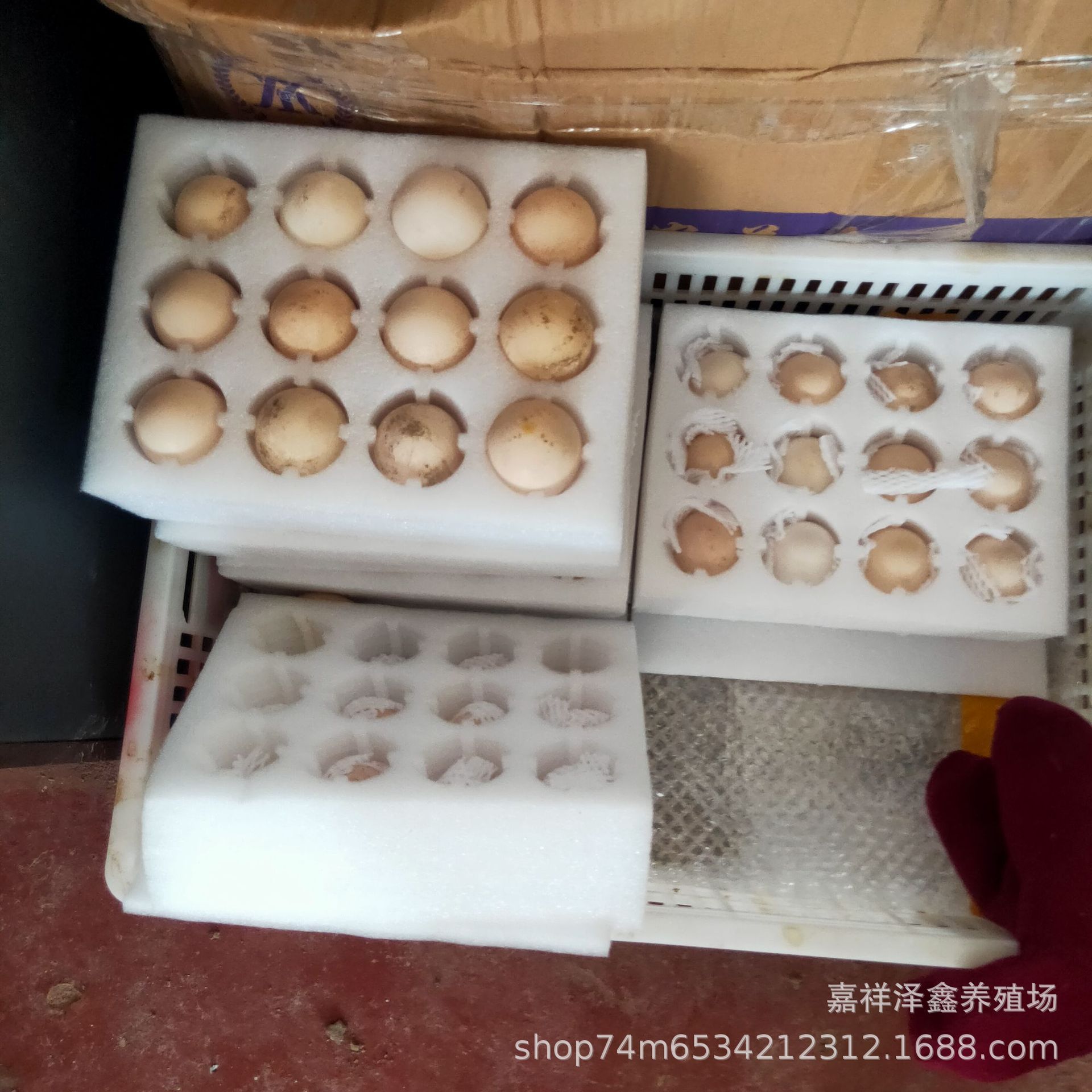 IMG20210517130804.jpg