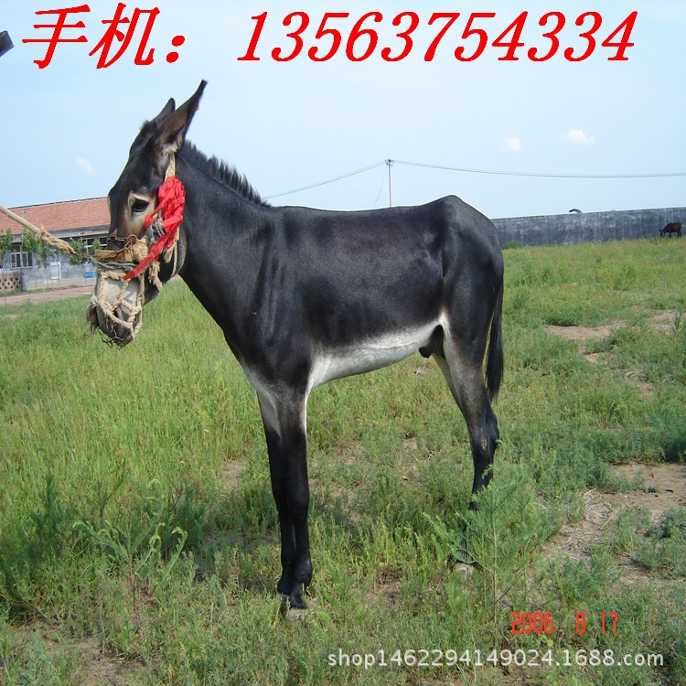 驴3