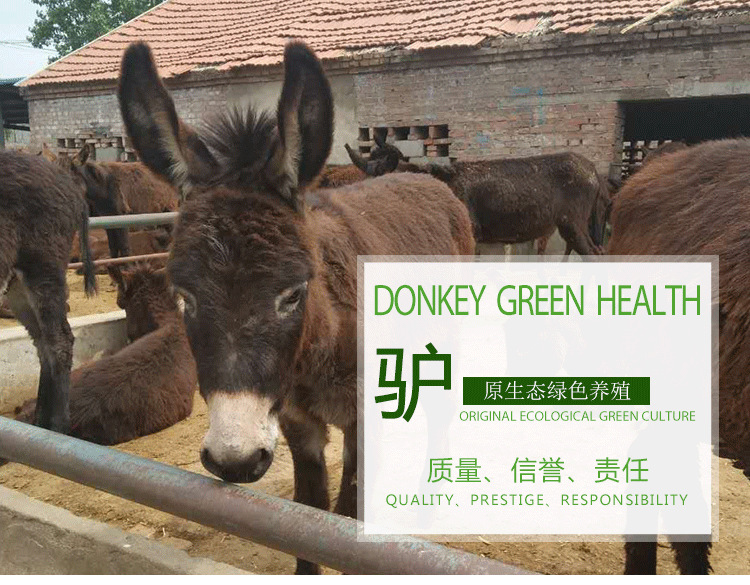 驴详情页_01