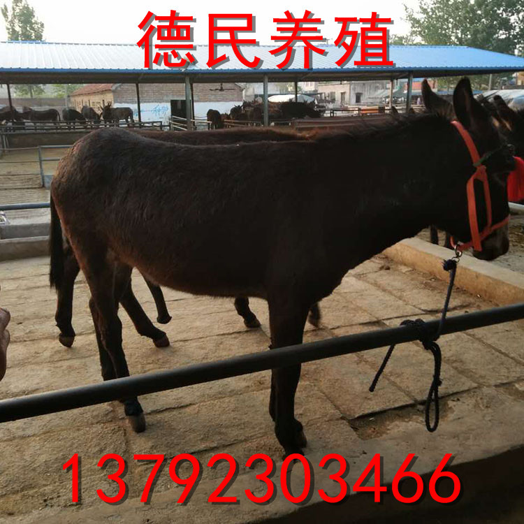 主_0018_图片_20170515084517