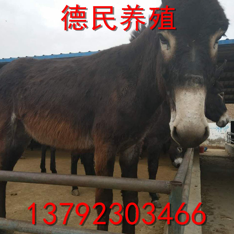 主_0021_图片_20170515084506