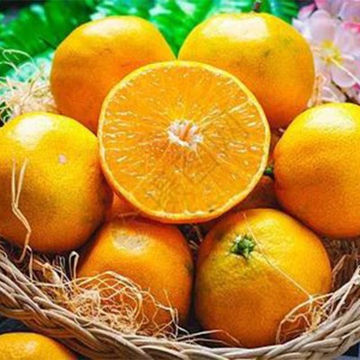 赣南脐橙 新鲜橙子江西水果橙子脐橙赣南自然熟多汁20斤果园直供图2