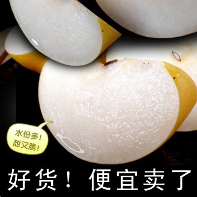 烟台秋月梨甜脆水分足净重5斤 保证口感