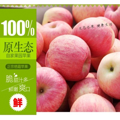 【现货天天发】烟台栖霞红富士苹果新鲜甜脆水分足净重5斤一件代图2