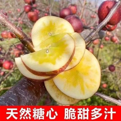 G0033四川大凉山丑苹果冰糖心苹果新鲜水果当季整箱盐源包邮四川图2