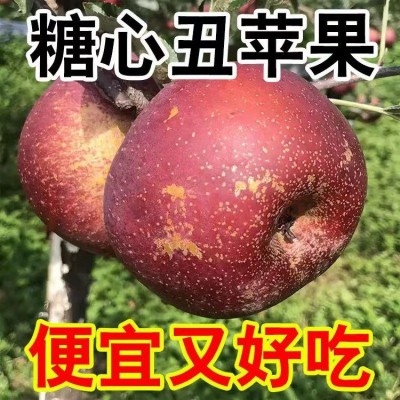 G0033四川大凉山丑苹果冰糖心苹果新鲜水果当季整箱盐源包邮四川图3
