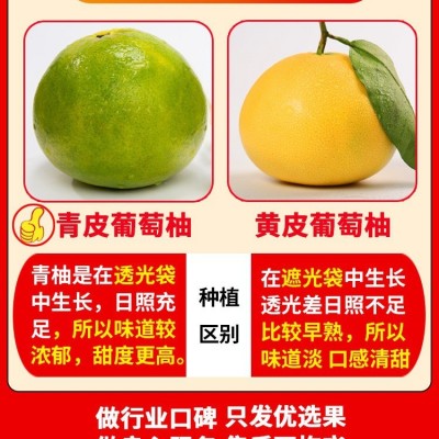 G0004青媛葡萄柚纯甜新鲜孕妇水果福建产地直发图3