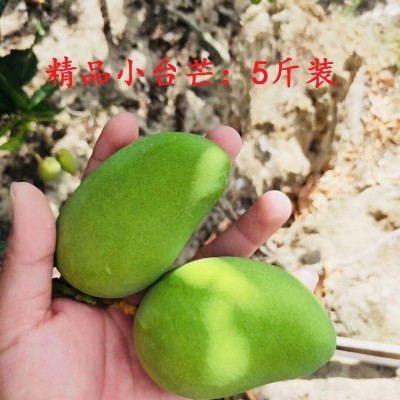 批发海南精品小台芒果非贵妃芒新鲜水果皮薄味美热带水果一件代发图2