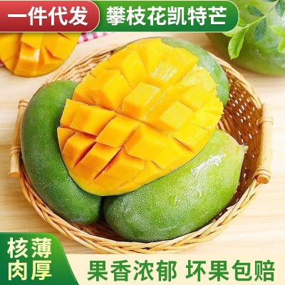 攀枝花凯特芒果3/5/9斤一件代发应季热带新鲜水果四川送礼大芒果图1