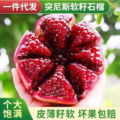 批发突尼斯红石榴大果当季送礼新鲜水果四川云南会理软籽石榴图1