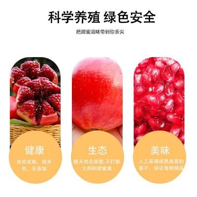 批发突尼斯红石榴大果当季送礼新鲜水果四川云南会理软籽石榴图4