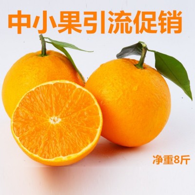 批发四川眉山丹棱时令水果脐橙 现摘新鲜水果橙子小果8斤一件代发图3