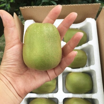 蒲江红心猕猴桃30个当季新鲜纯甜水果现摘泥猴桃奇异果弥猕猴大果图2