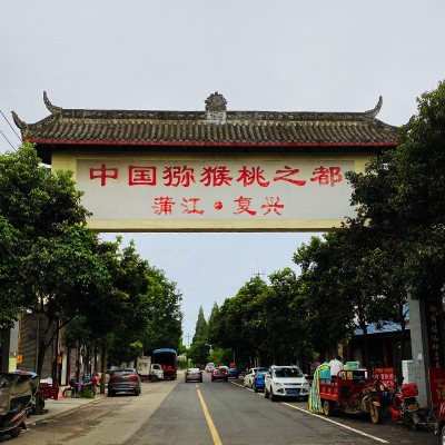蒲江红心猕猴桃30个当季新鲜纯甜水果现摘泥猴桃奇异果弥猕猴大果图3