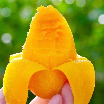 正宗小台芒海南芒果应季水果皮薄核薄新鲜现摘台农直发发邮图2