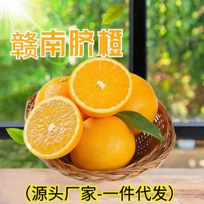 赣南脐橙新鲜水果批发应季水果江西橙子当季水果5斤10斤批发礼盒