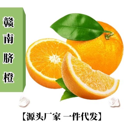 赣南脐橙新鲜水果批发应季水果橙子当季水果5斤装礼盒装
