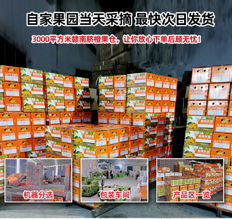 赣南脐橙详情21_07.jpg
