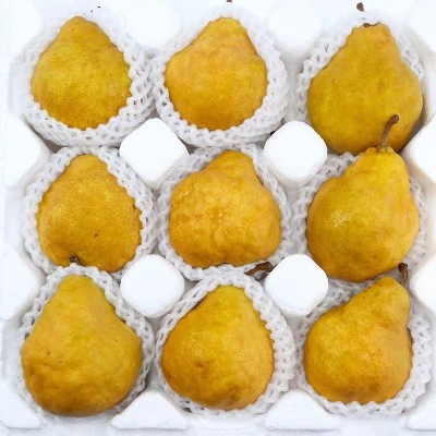 莱阳中华丑梨放软后软糯香甜汁水充盈梨味浓郁4.5-5斤图5
