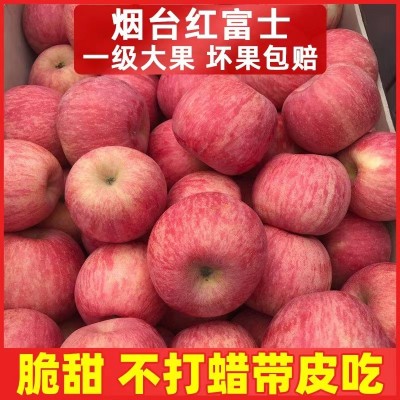 山东烟台红富士苹果正宗栖霞苹果条纹富士苹果批发一件代发图1