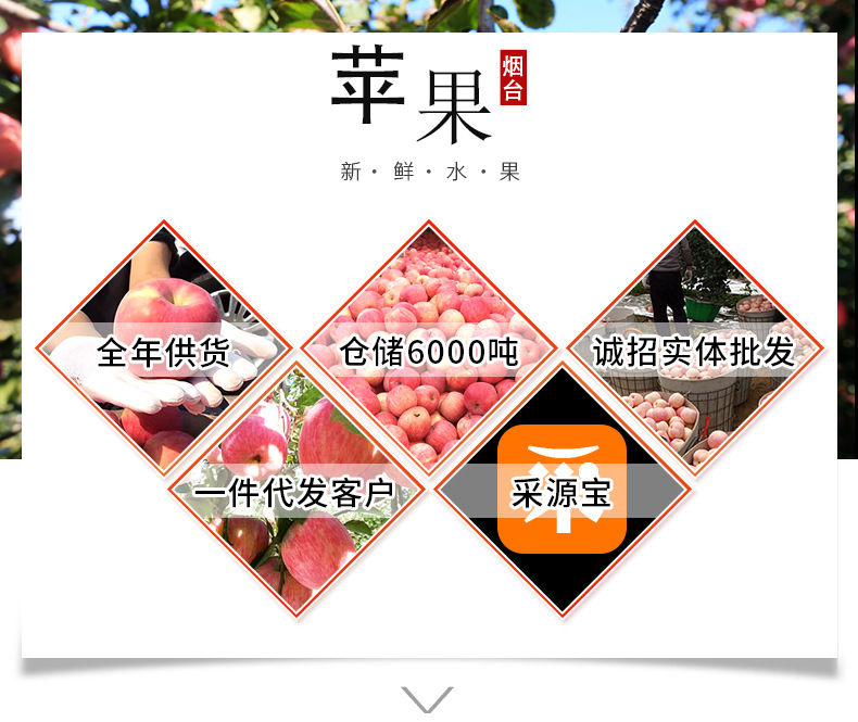 未标题-1