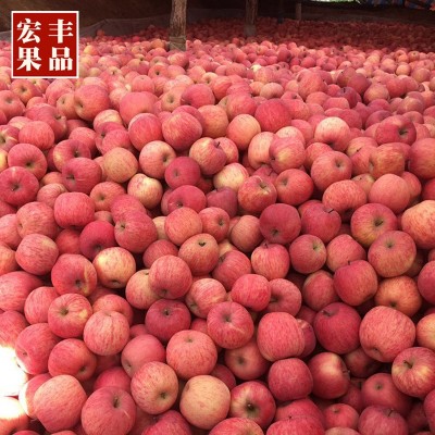 23年新果烟台栖霞红富士苹果水果包邮脆甜正宗新鲜整箱批发送礼80图1