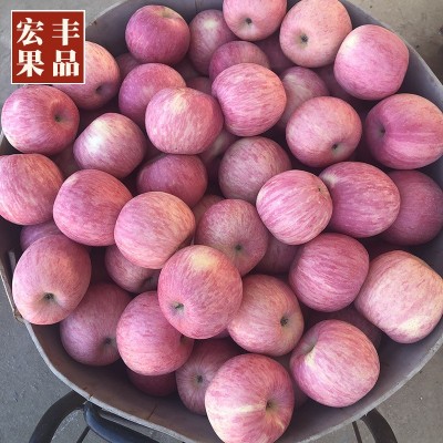 23年新果烟台栖霞红富士苹果水果包邮脆甜正宗新鲜整箱批发送礼80图3