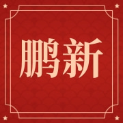 上海鹏新旅游发展有限公司