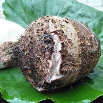 正宗广西荔浦芋头1/3/5斤净果香糯芋头槟榔芋新鲜香芋现挖蔬菜图3