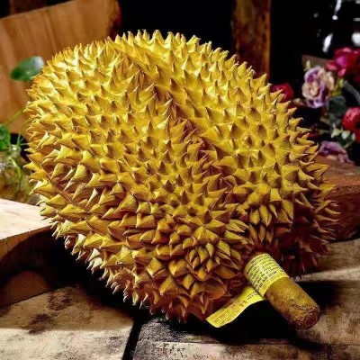 泰国榴莲金枕头榴莲 新鲜水果 应季水果热带鲜果巴掌榴莲一件代发图2
