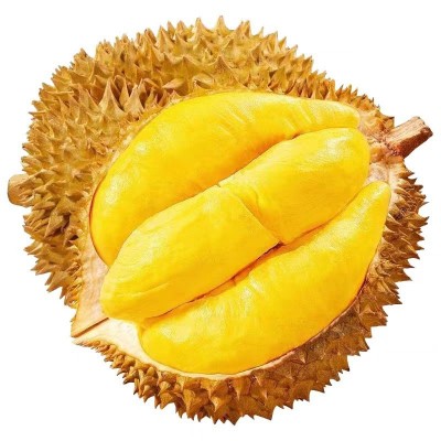 泰国榴莲金枕头榴莲 新鲜水果 应季水果热带鲜果巴掌榴莲一件代发图5