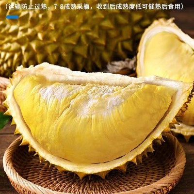 泰国榴莲金枕头榴莲 新鲜水果 应季水果热带鲜果巴掌榴莲一件代发图4