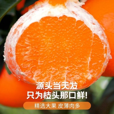 四川爱媛38号果冻橙10斤橙子新鲜水果当季整箱爆甜柑橘桔手剥甜橙
