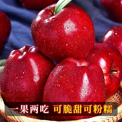 甘肃天水花牛苹果水果新鲜当季整箱5斤蛇粉面丑平果蛇果顺丰1包邮图3