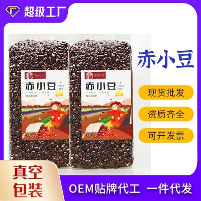 五谷杂粮厂家赤小豆500g非红小豆粗粮长粒量大从优赤小豆批发