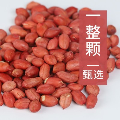 红皮花生米批发400克四粒红五红汤原料五谷杂粮粗粮厂家直供真空图2