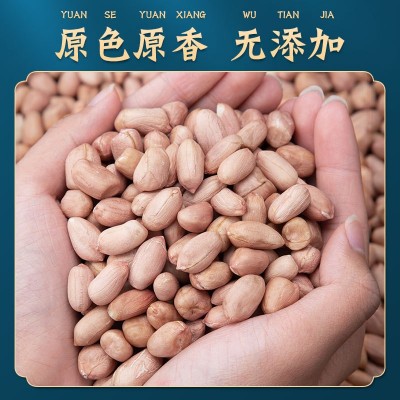 厂家批发邵氏生花生东北花生米各种规格2022年新货扒拉颗长粒冷库图3